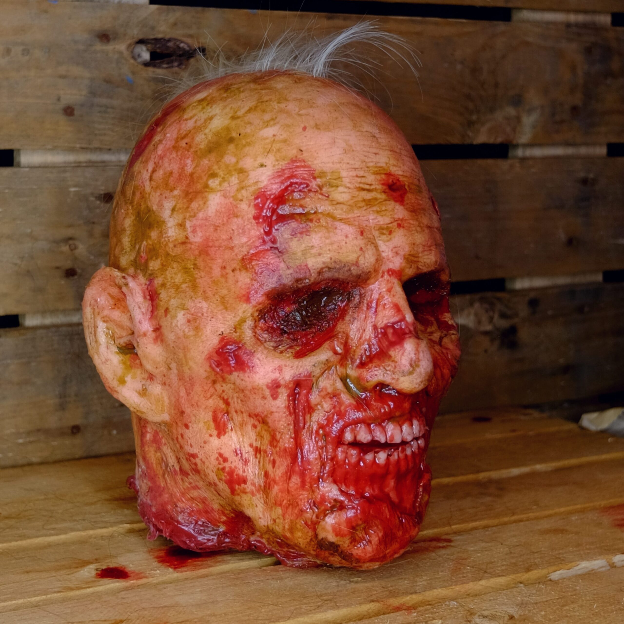 Realistic Rotten Severed Zombie Head - Biter