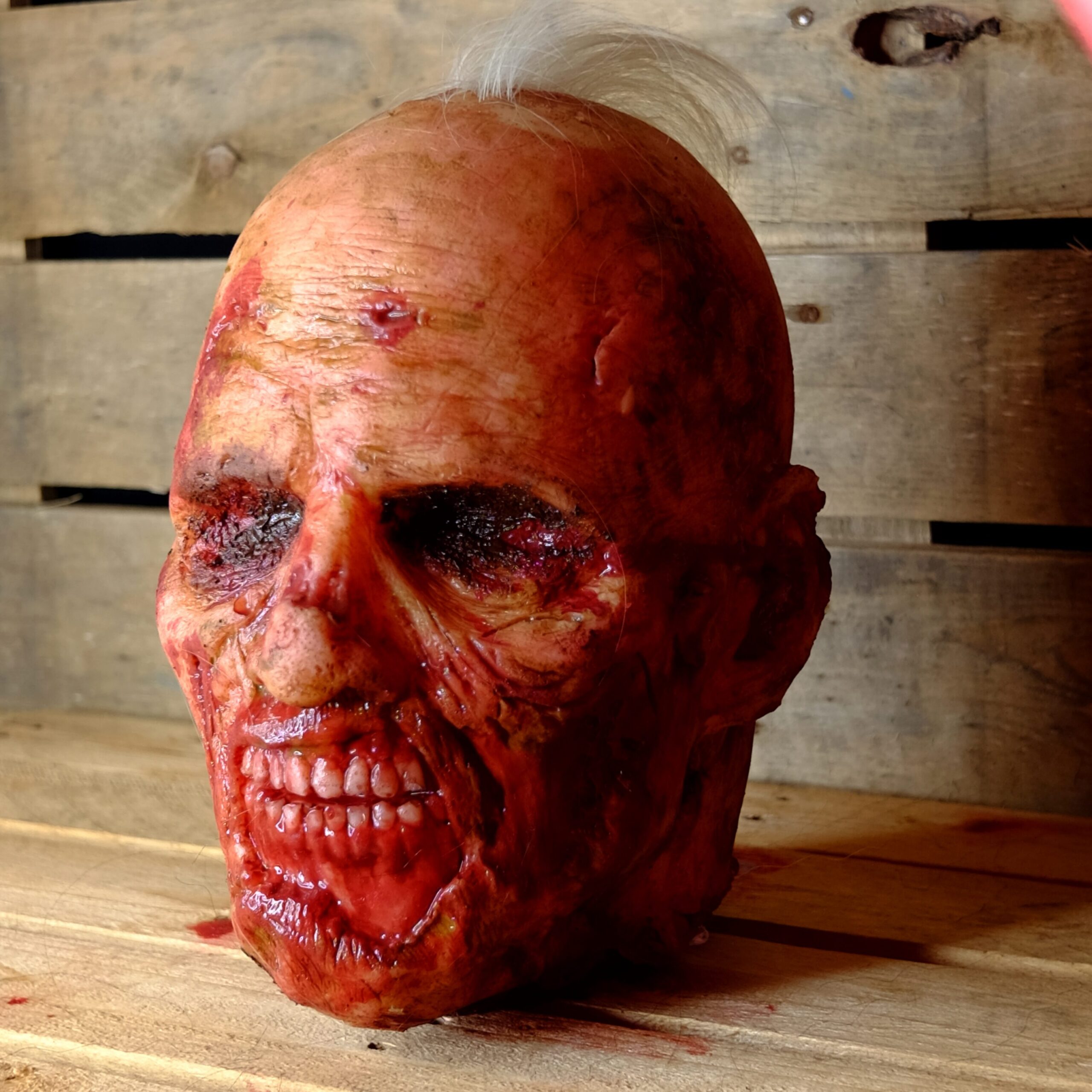 Realistic Rotten Severed Zombie Head - Biter