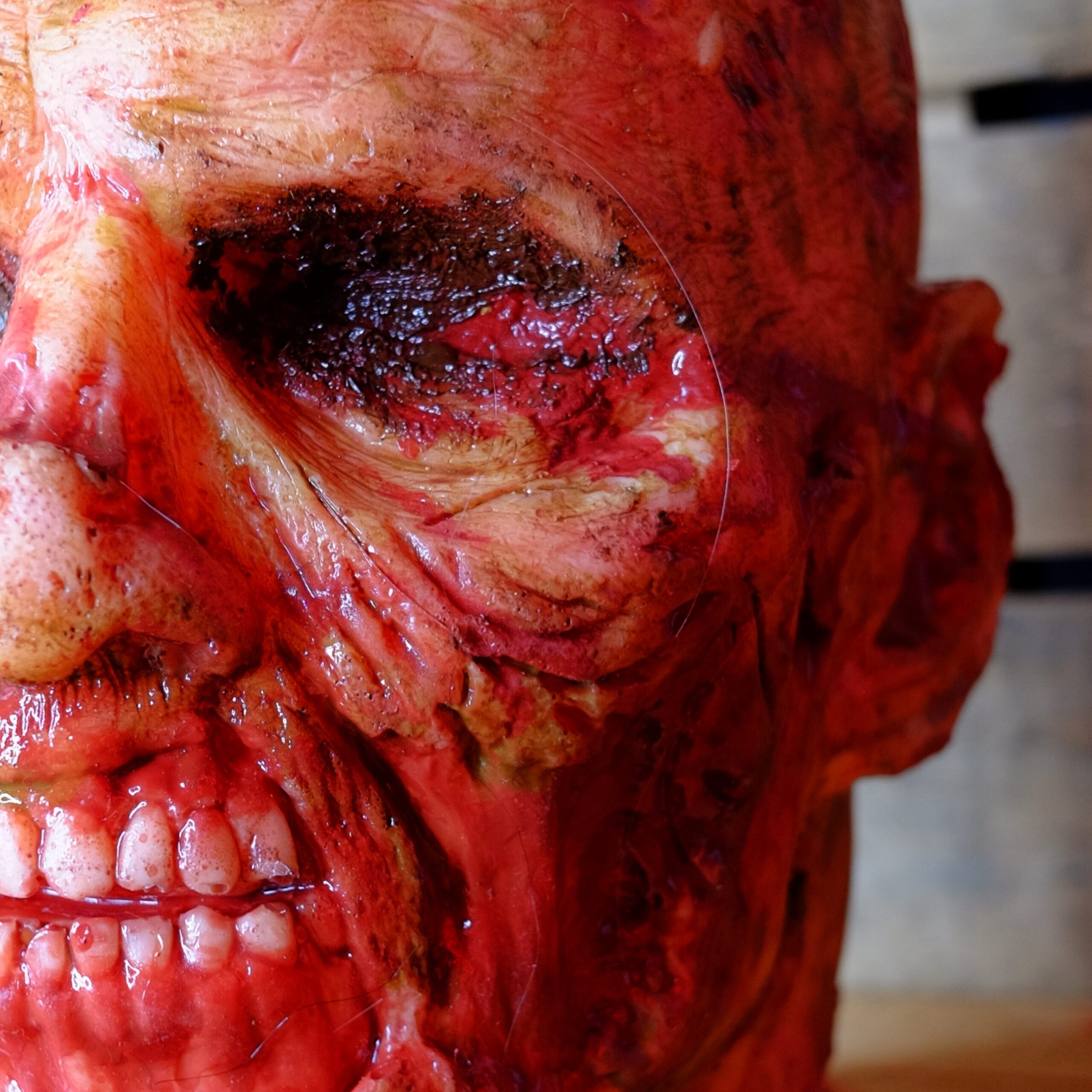 Realistic Rotten Severed Zombie Head - Biter