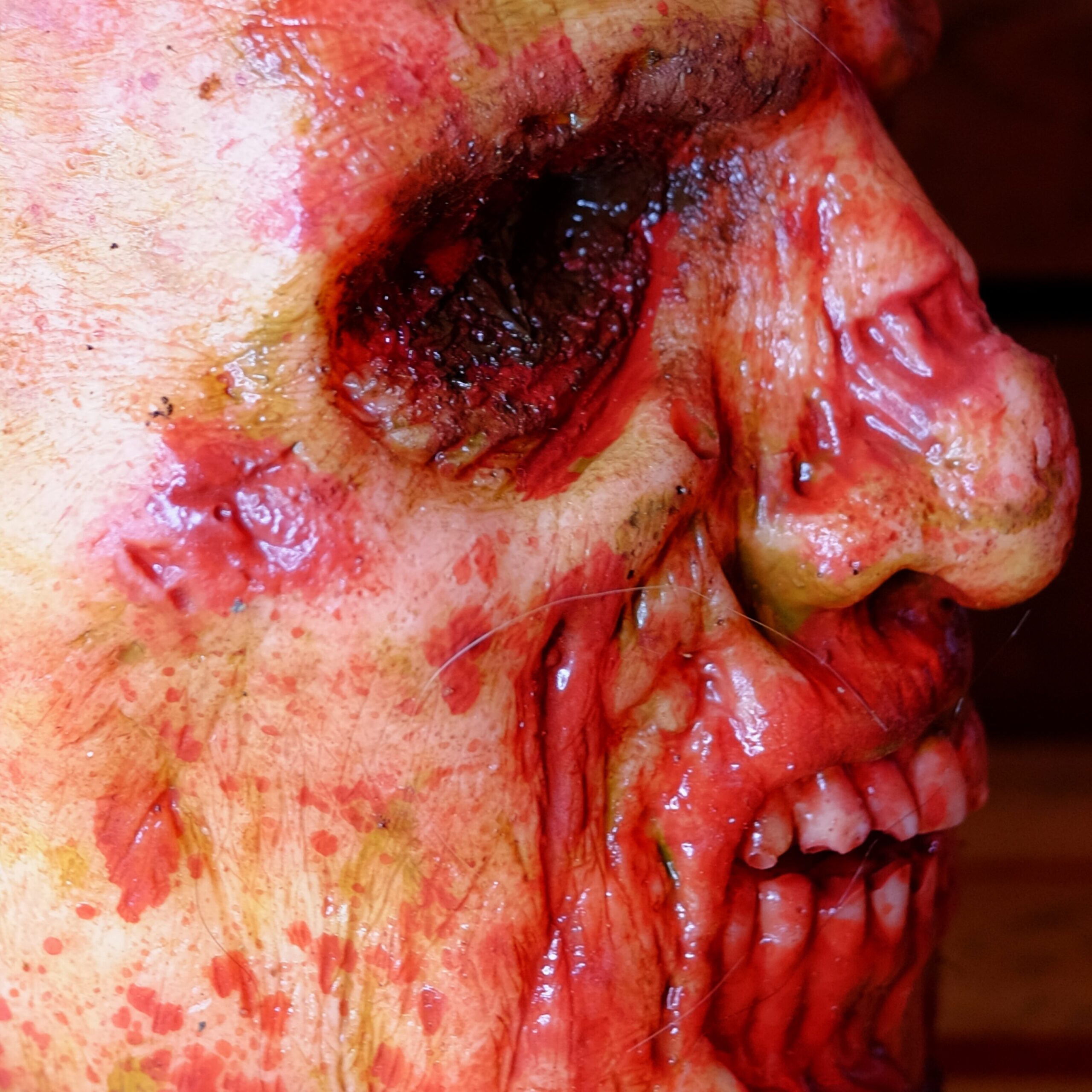 Realistic Rotten Severed Zombie Head - Biter