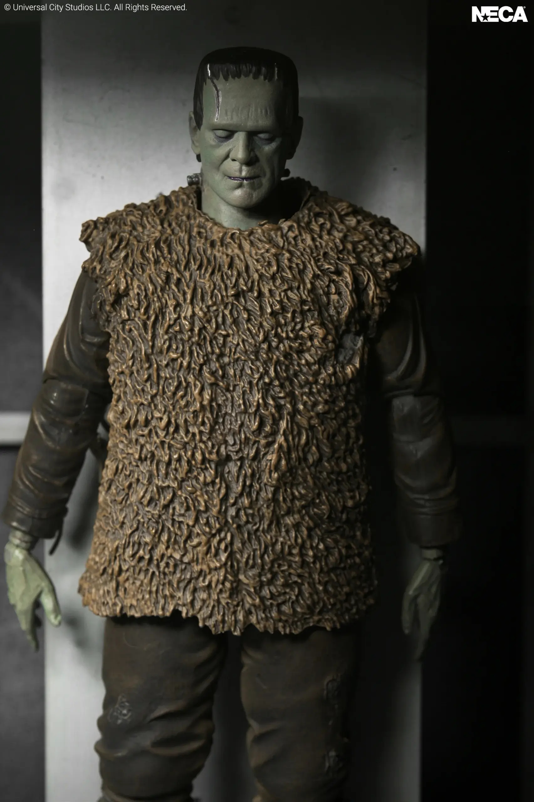 NECA Universal Monsters Son of Frankenstein - Frankenstein's Monster Ultimate 7