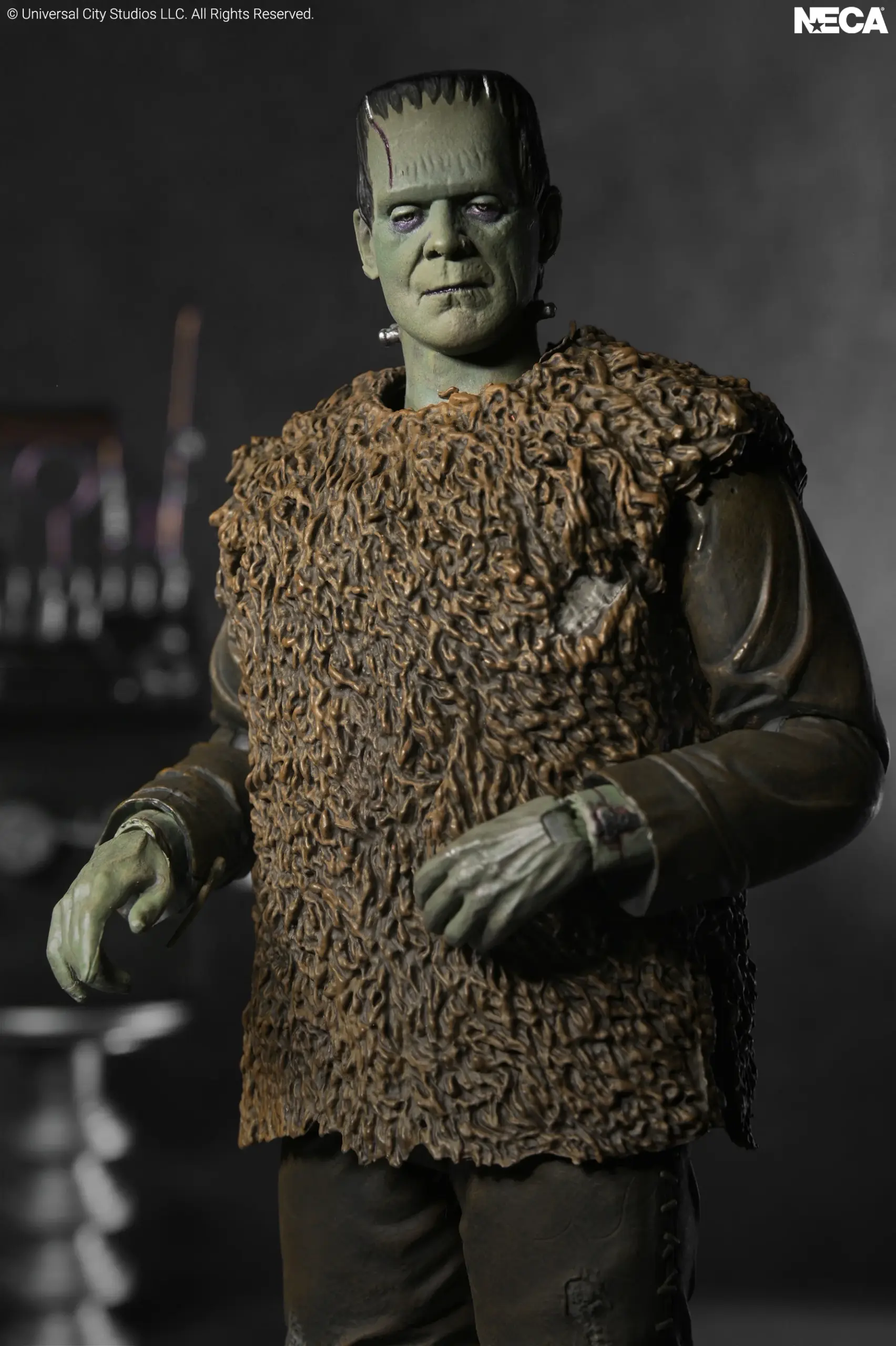 NECA Universal Monsters Son of Frankenstein - Frankenstein's Monster Ultimate 7