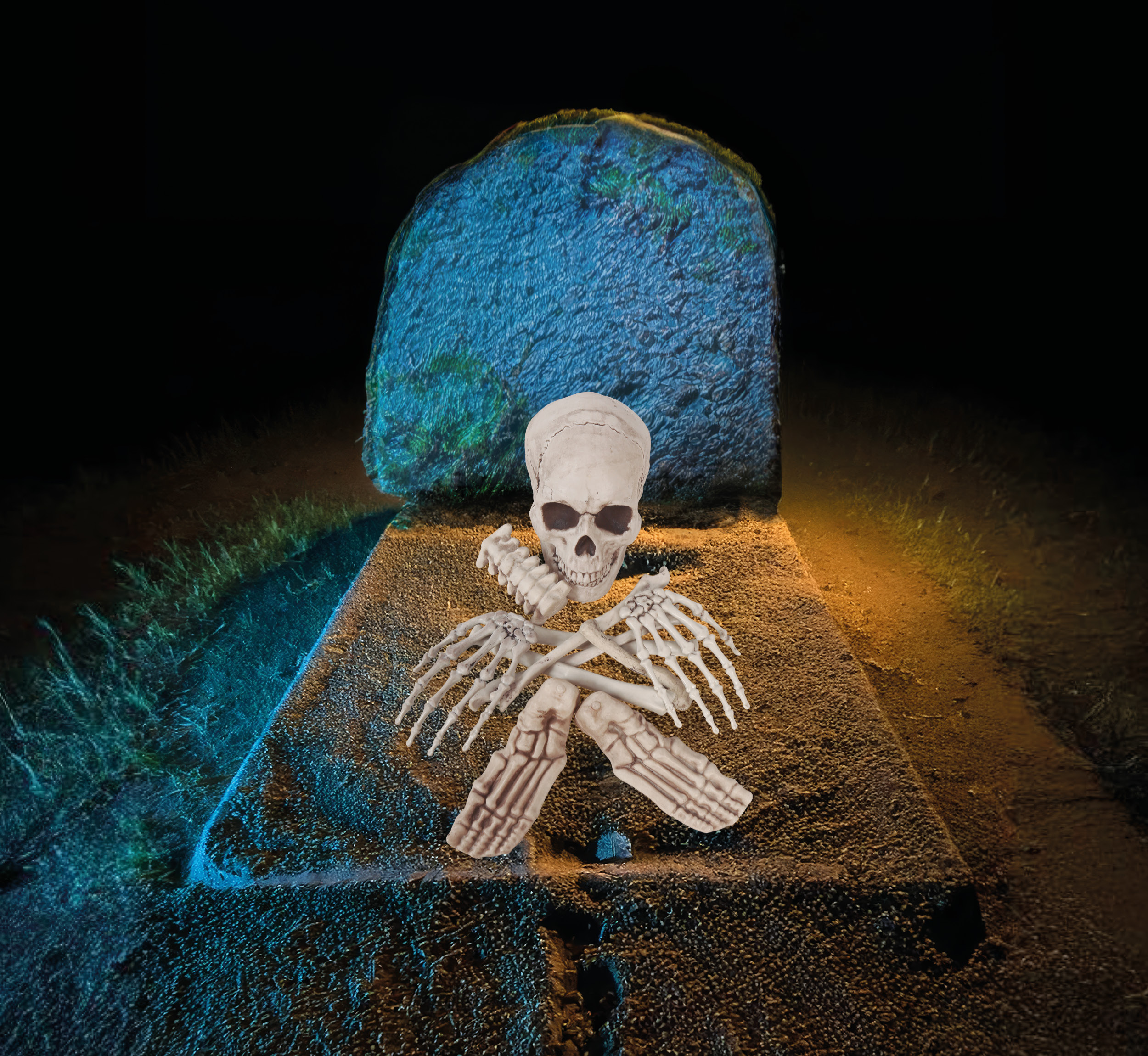 Bag of Skeleton Bones