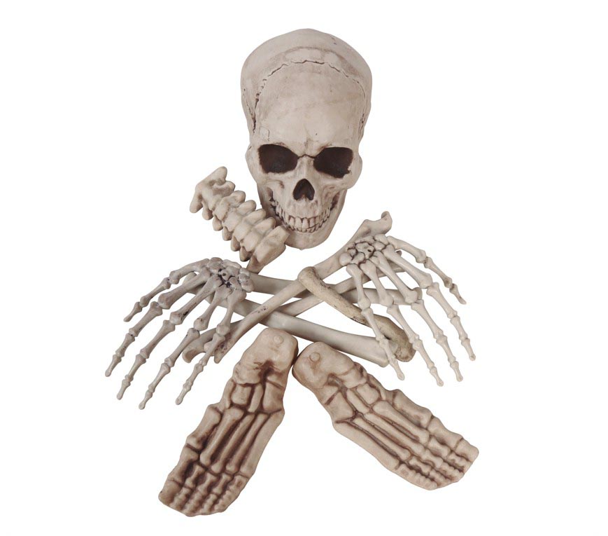 Bag of Skeleton Bones