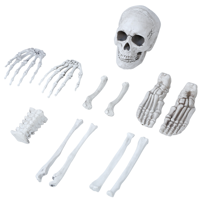 Bag of Skeleton Bones
