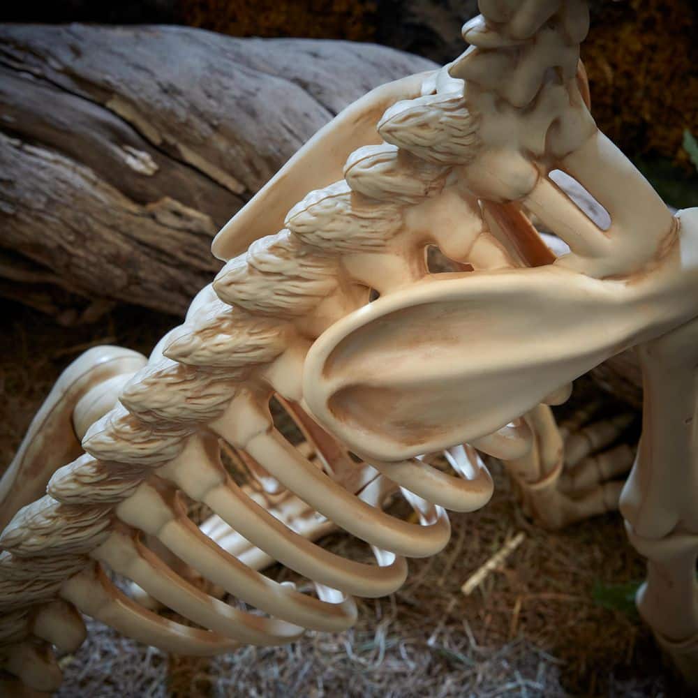 2.5ft LED Skeleton Wolf Halloween Animatronic