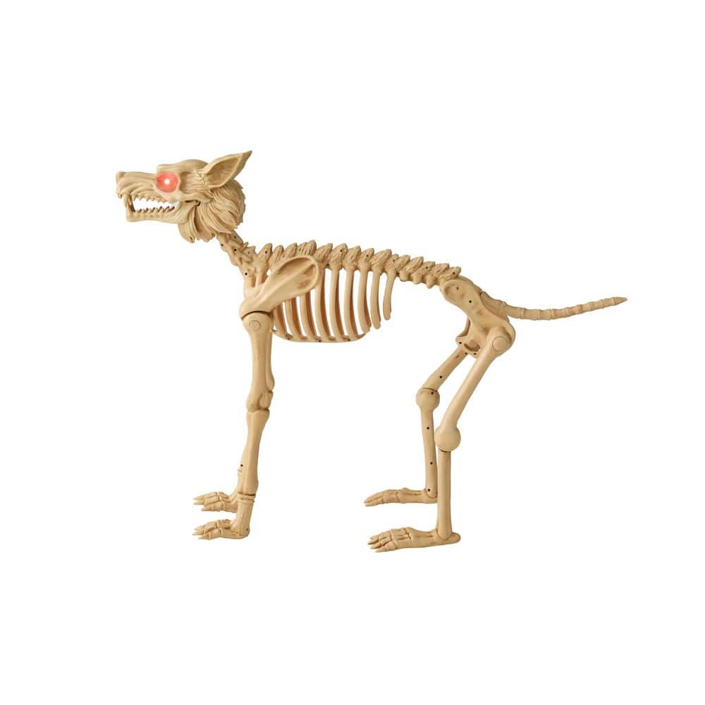 2.5ft LED Skeleton Wolf Halloween Animatronic