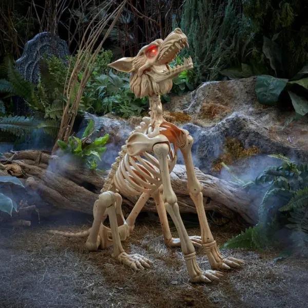 2.5ft Skeleton Wolf Halloween Animatronic