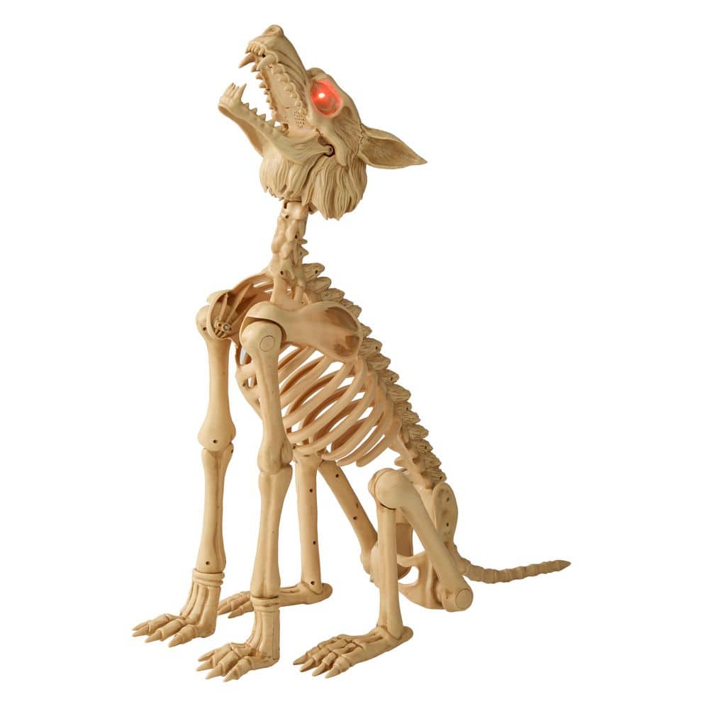 2.5ft LED Skeleton Wolf Halloween Animatronic