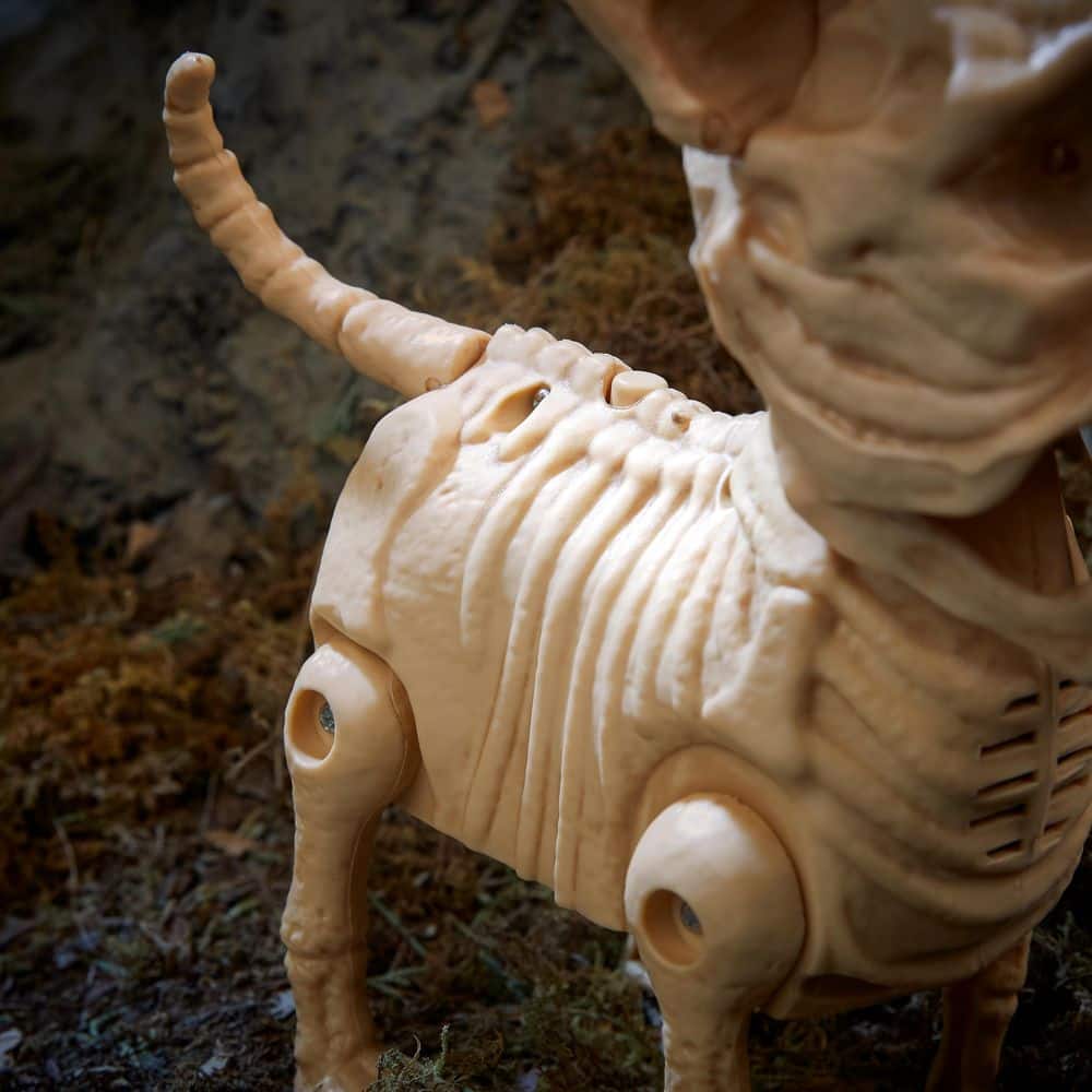 Animated Skeleton Dog