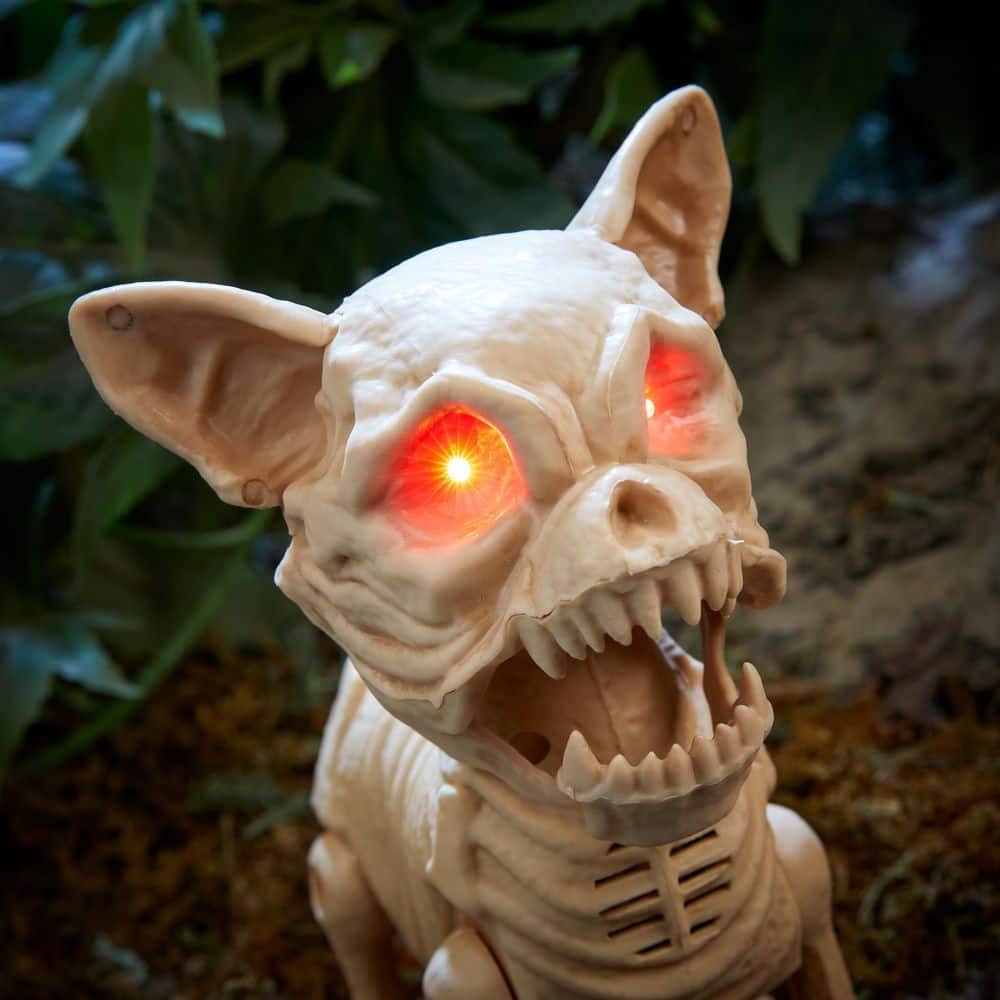 Animated Skeleton Dog