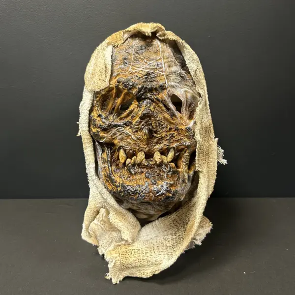 Mummifried Mask
